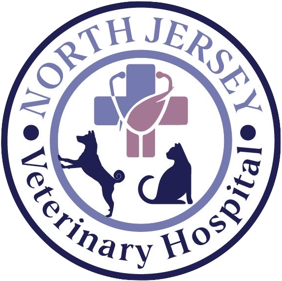 NJVH Hospital -